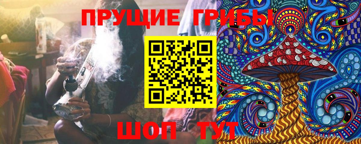 купить   Псилоцибиновые грибы Cubensis  Алексин  Вход с VPN  Галлюциногенные грибы Psilocybe 