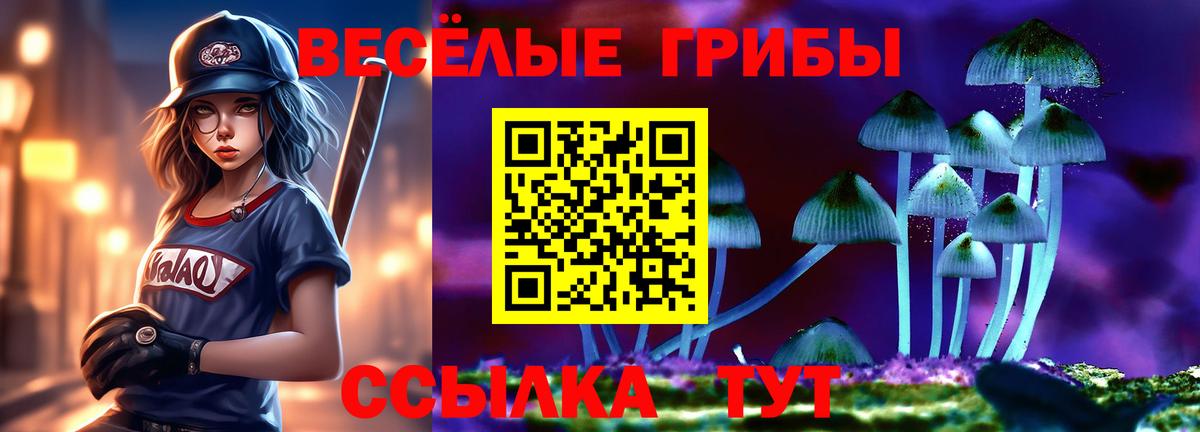 Псилоцибиновые грибы мицелий Алексин
