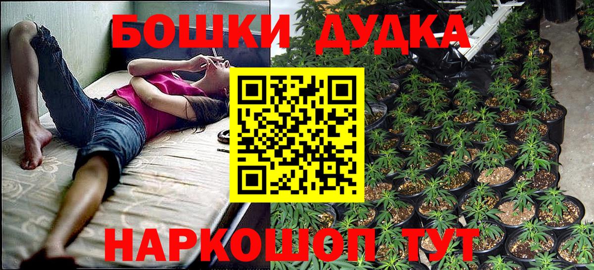 Бошки Шишки MAZAR Алексин